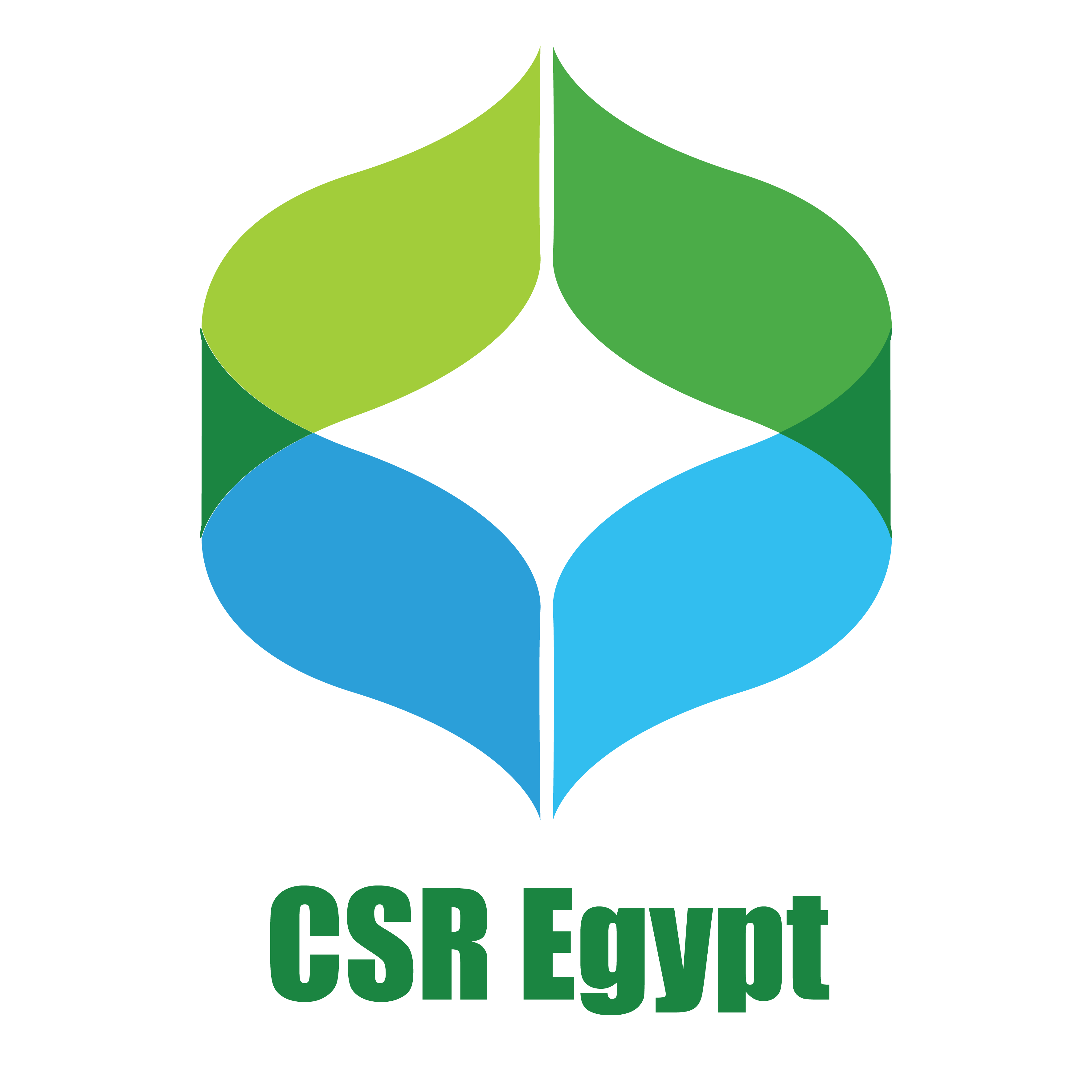 CSR Egypt